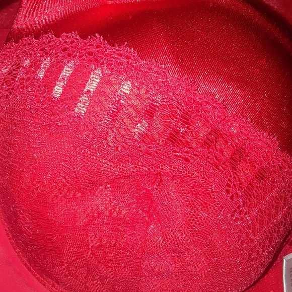 Bra - Picture 3 of 5